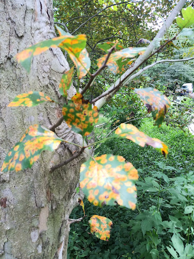 Nature Preserve «Ashland Nature Center of Delaware Nature Society», reviews and photos, 3511 Barley Mill Rd, Hockessin, DE 19707, USA
