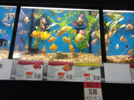 Discount Store «Big Lots», reviews and photos, 311 Deo Dr, Newark, OH 43055, USA