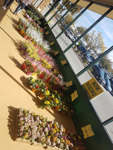 Produce Market «Produce Junction Inc», reviews and photos, 272 Pottstown Pike, Exton, PA 19341, USA