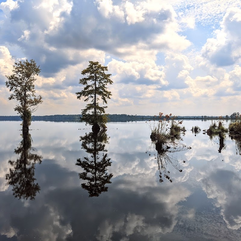 Great Dismal Swamp National Wildlife Refuge