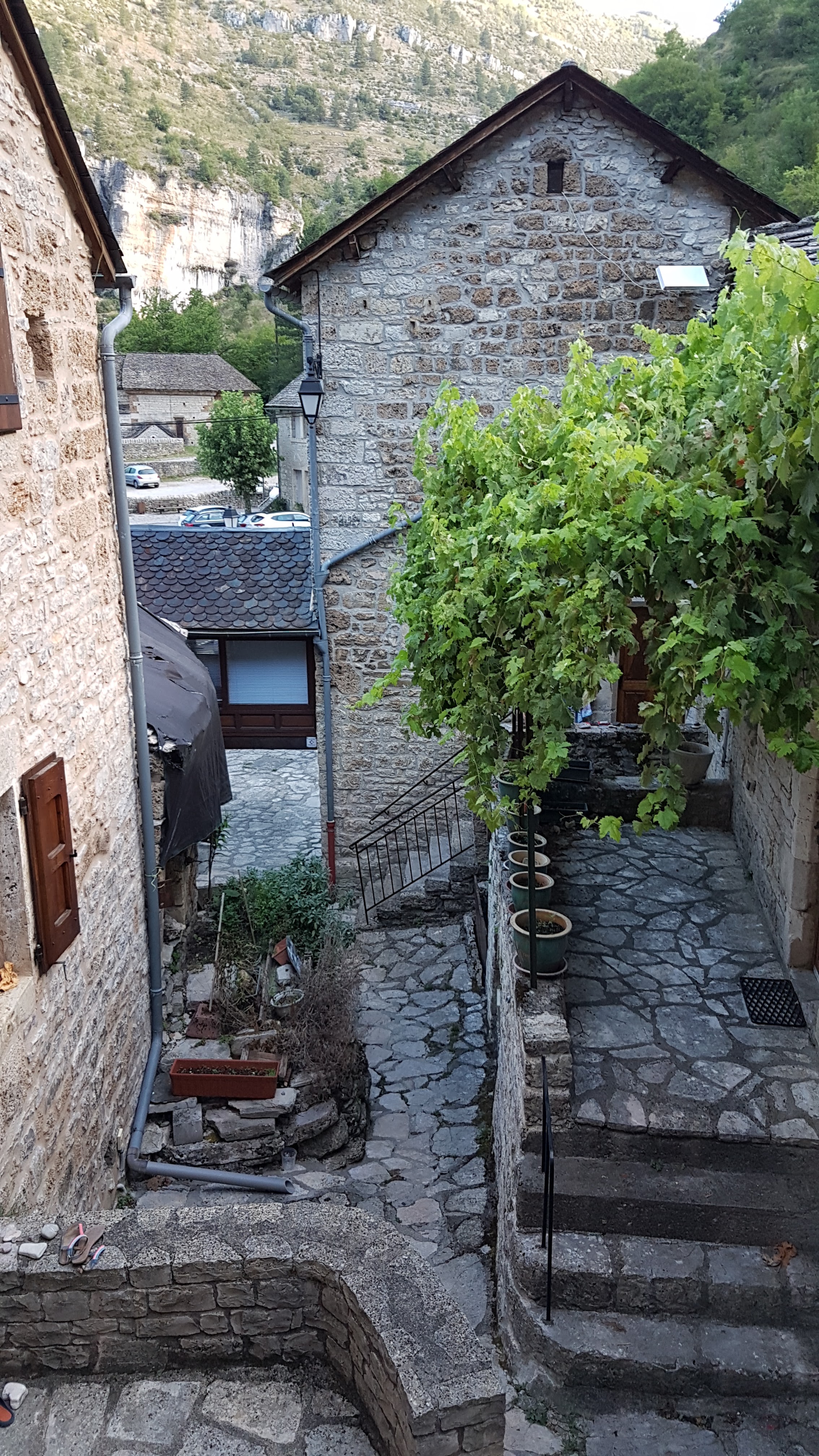 Photo n° 1 de l'avis de Fabienne.a fait le 10/09/2020 à 17:56
