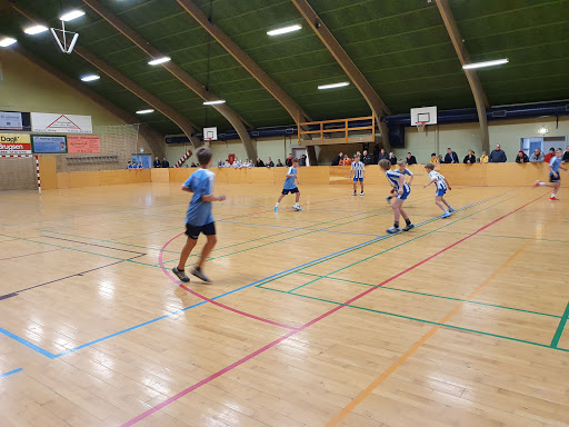 Ryslinge Hallen (Selvejende Institution) in Ryslinge, Faaborg-Midtfyn