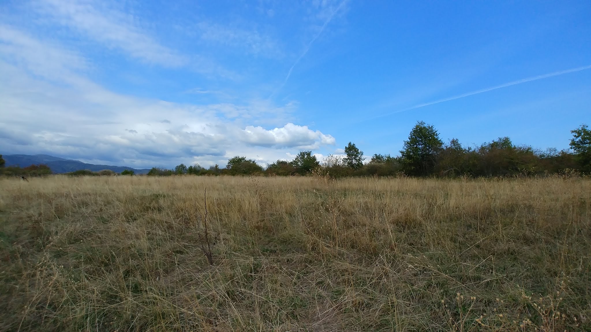 Photo n° 2 de l'avis de Laugal.a fait le 19/08/2019 à 14:30