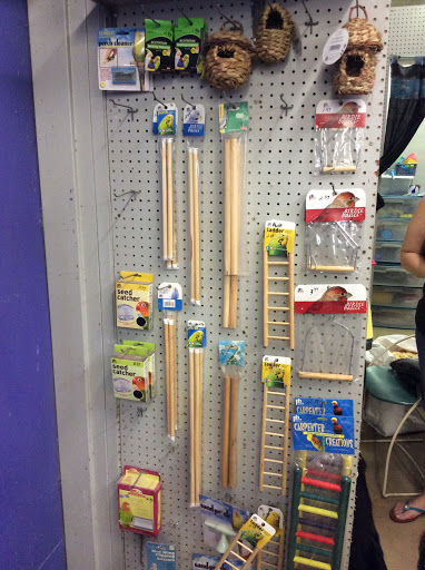 Pet Store «Oasis Tropicals», reviews and photos, 507 Commerce St, Pleasanton, TX 78064, USA