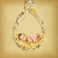 Bugs and Butterflies Photography - Photo 5 - Car repair in Campbell, CA, Santa Clara