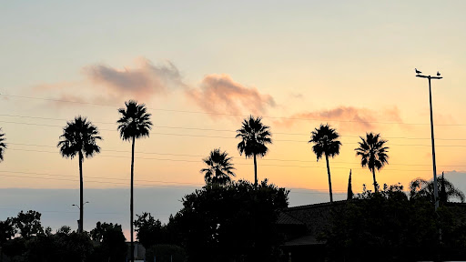 Shopping Mall «SouthBay Pavilion», reviews and photos, 20700 S Avalon Blvd, Carson, CA 90746, USA