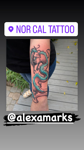 Explore chest cover up tattoos ideas for females, creative tattoo ideas in Arcata, available at Nor Cal Tattoo