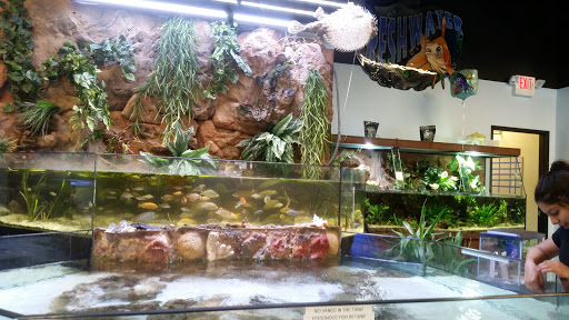 Tropical Fish Store «Pisces Reef Fish Emporium, LLC», reviews and photos, 9326 W Sahara Ave, Las Vegas, NV 89117, USA