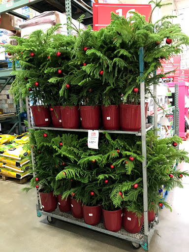 Warehouse club «BJ’s Wholesale Club», reviews and photos, 3712 Virginia Beach Blvd, Virginia Beach, VA 23452, USA