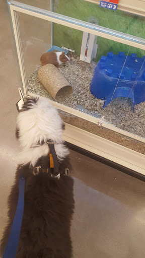 PetSmart