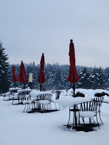 Winery «Apolloni Vineyards», reviews and photos, 14135 NW Timmerman Rd, Forest Grove, OR 97116, USA