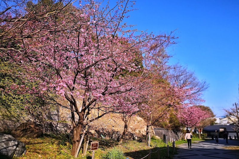 粕森公園