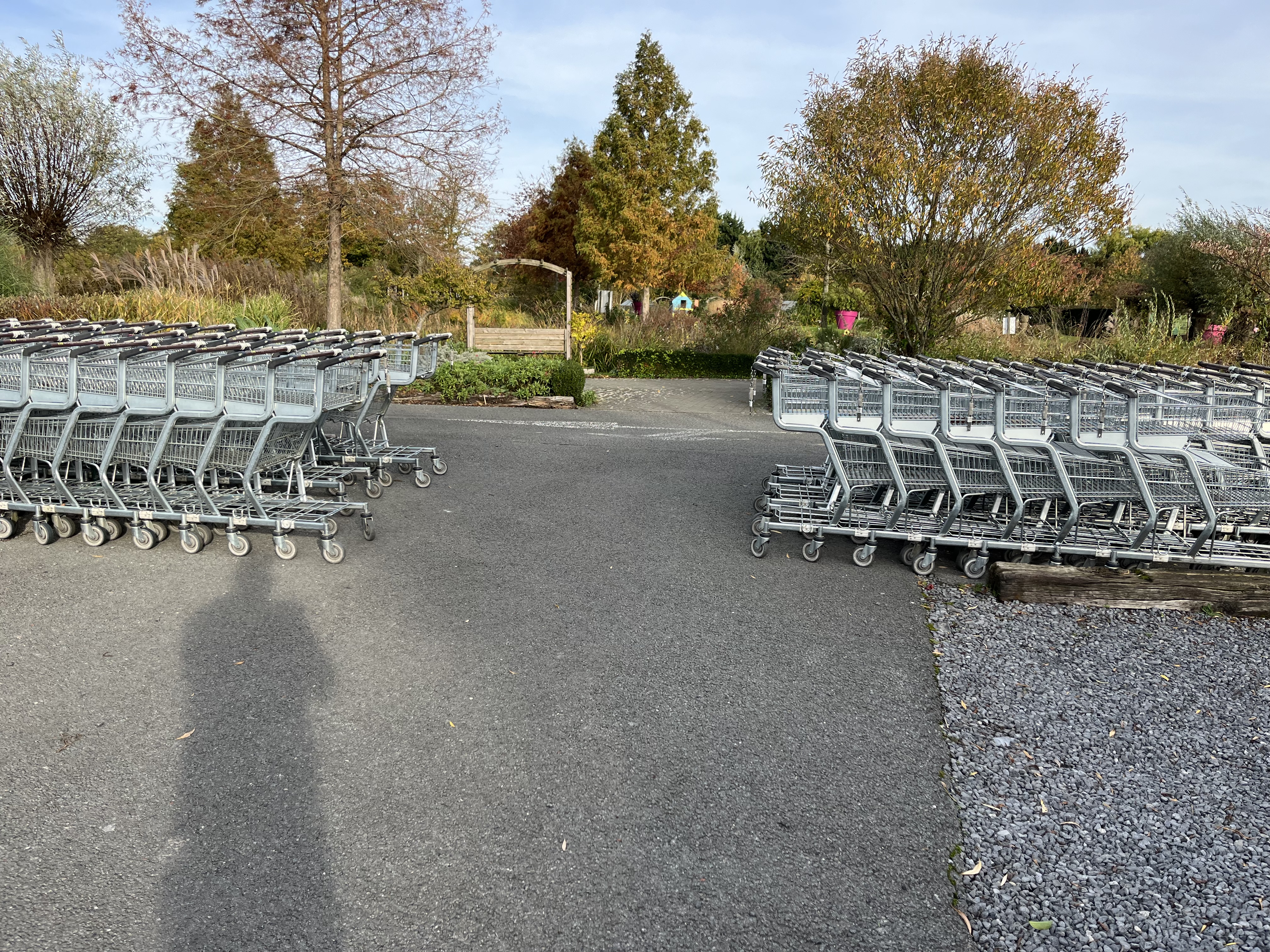 Photo n° 1 de l'avis de GL.2 fait le 11/11/2022 à 15:12