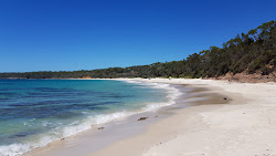Fotografie cu Nelsons Beach zonele de facilități