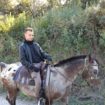 Photo n°7 de l'avis de Dario.r fait le 25/09/2018 à 22:43 sur le  Centro Ippico Pegaso à Collesalvetti