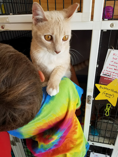 Pet Supply Store «Pet Supplies Plus», reviews and photos, 1258 Northlake Blvd, Lake Park, FL 33403, USA