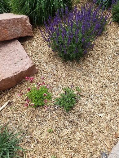 Museum «Colorado Springs Pioneers Museum», reviews and photos, 215 S Tejon St, Colorado Springs, CO 80903, USA