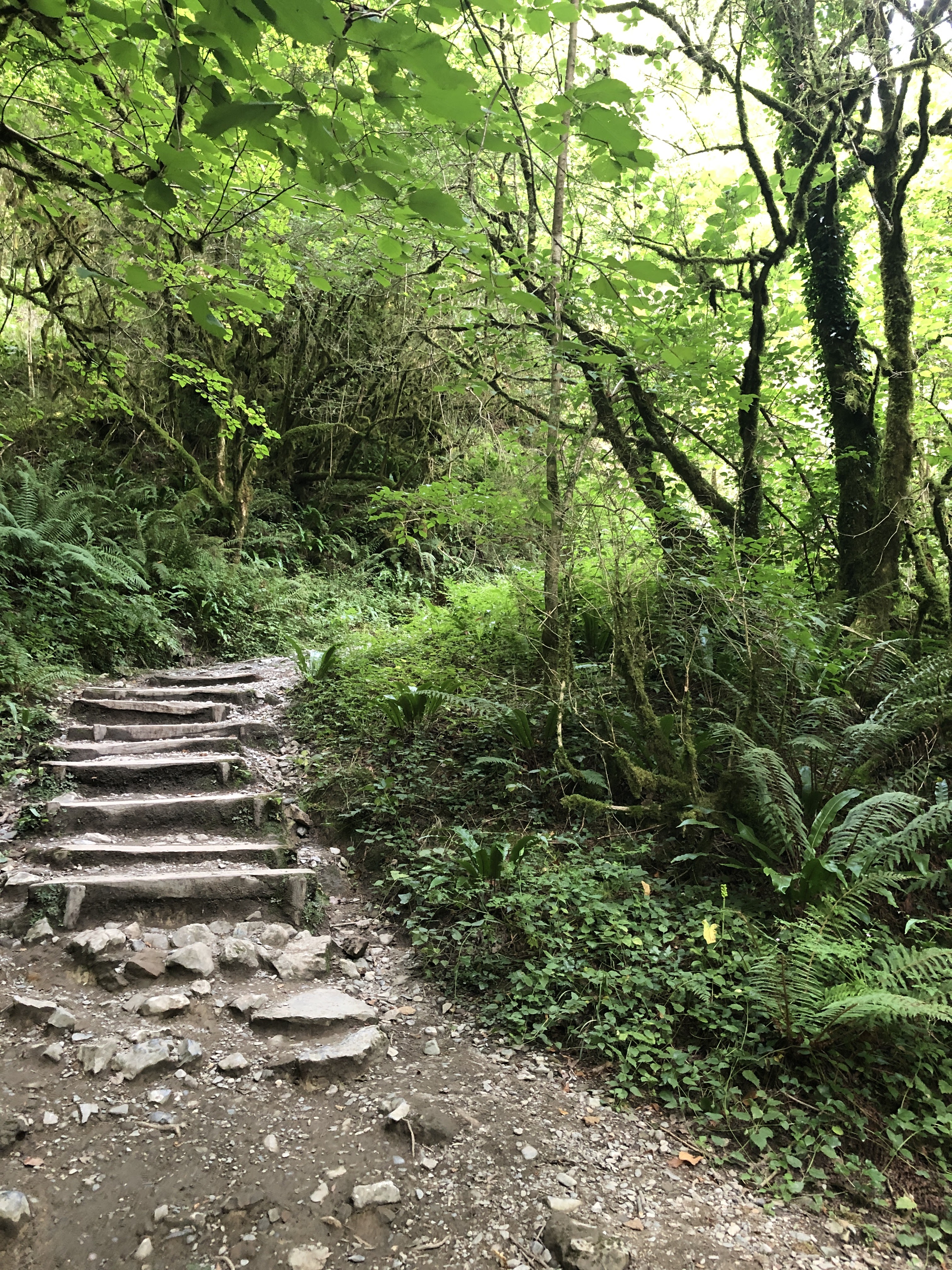 Photo n° 2 de l'avis de Stef.3 fait le 31/07/2019 à 14:00