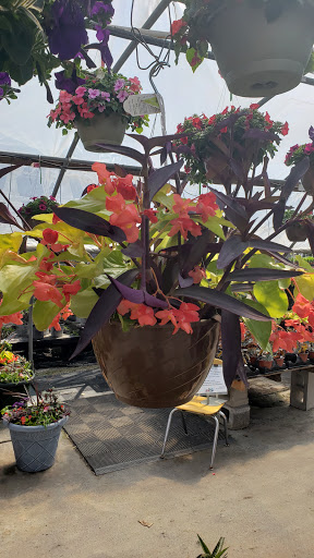 Florist «Parkview Gardens Florist & Greenhouse», reviews and photos, 1925 W Randolph St, St Charles, MO 63301, USA