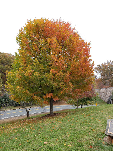 Historical Landmark «Michie Tavern ca. 1784», reviews and photos, 683 Thomas Jefferson Pkwy, Charlottesville, VA 22902, USA