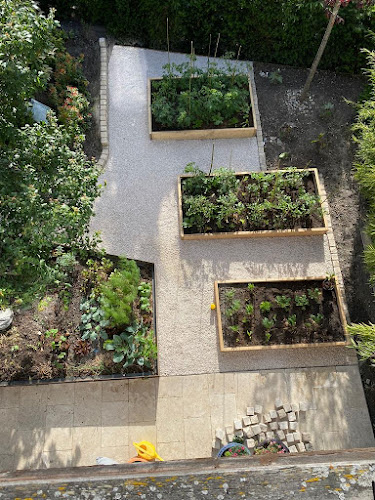 Rezensionen über Giovanoli Gartenpflege & Gartengestaltung in Chur - Gartenbauer