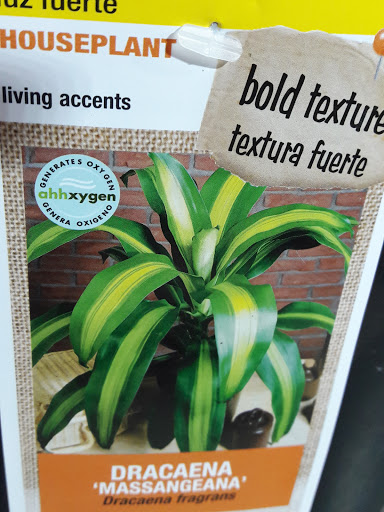 Thrift Store «Sun Rise Thrift Store», reviews and photos, 1880 S Havana St, Aurora, CO 80012, USA