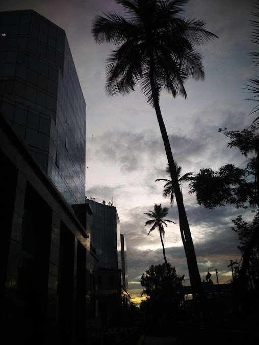 Google Maps image 26