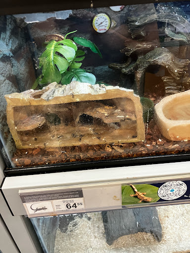 Pet Supply Store «Petco Animal Supplies», reviews and photos, 3452 W Chandler Blvd, Chandler, AZ 85226, USA