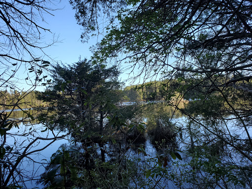 Community Park «Wells Mills County Park», reviews and photos, 905 Wells Mills Rd, Waretown, NJ 08758, USA