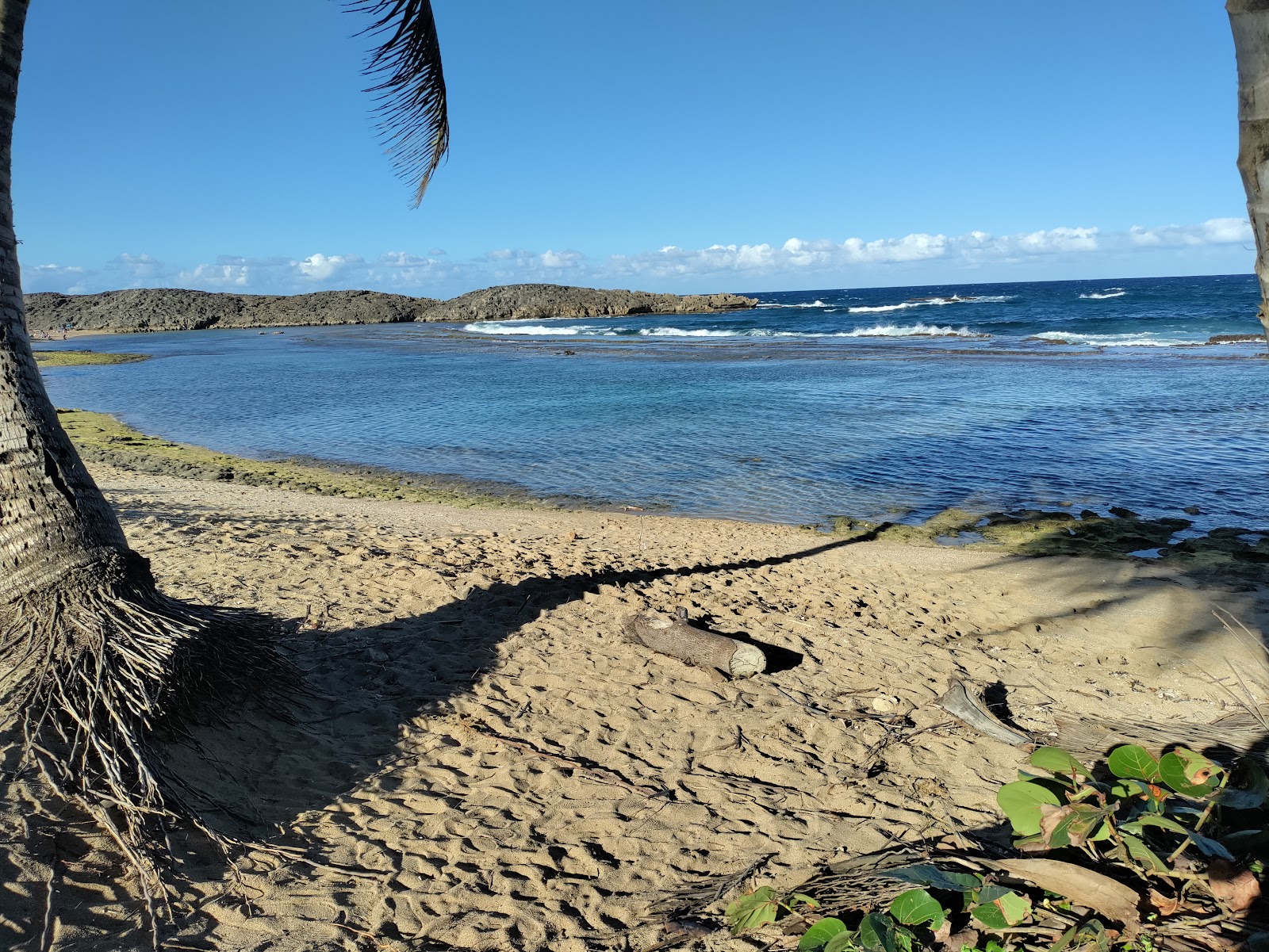 Playa La Esperanza photo #7