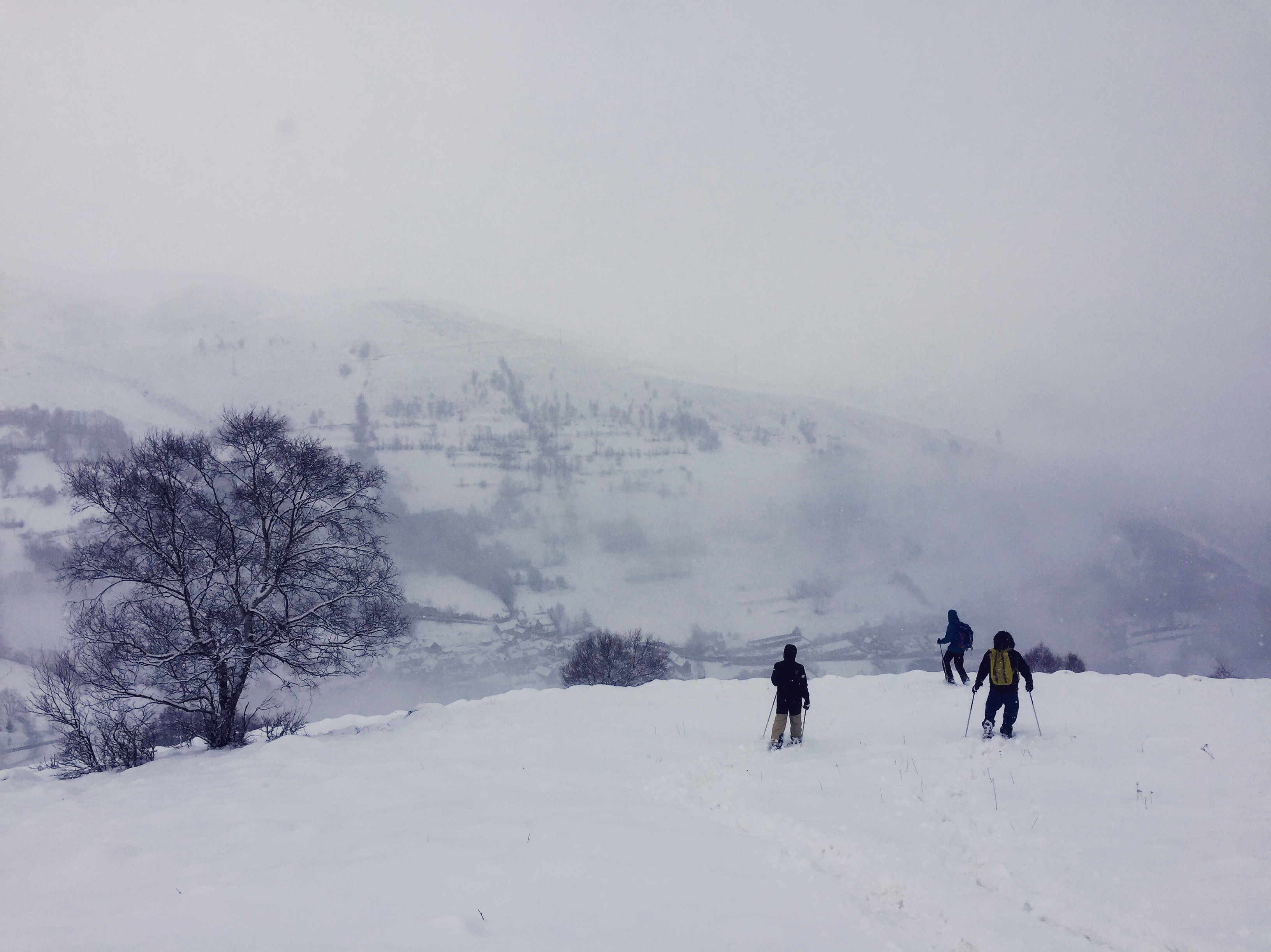 Photo n° 2 de l'avis de François.o fait le 14/01/2018 à 16:28