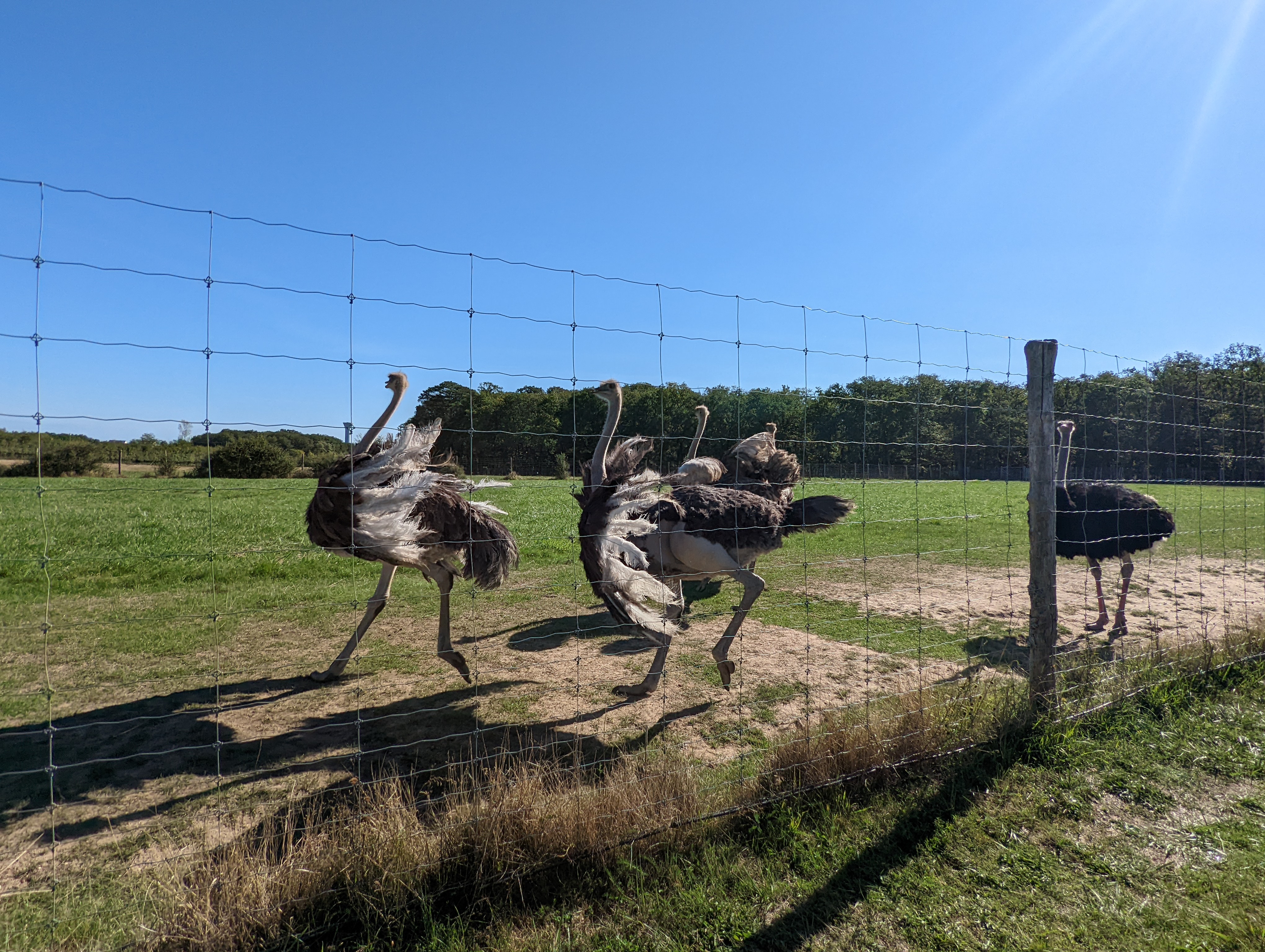 Photo n° 8 de l'avis de Virginie.e fait le 18/09/2022 à 19:51