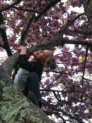 Park «Clasky Common Park», reviews and photos, Purchase St, New Bedford, MA 02740, USA