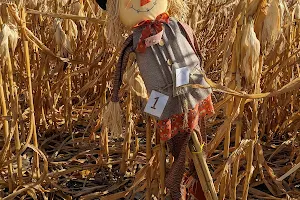 Fritz Corn Maze image