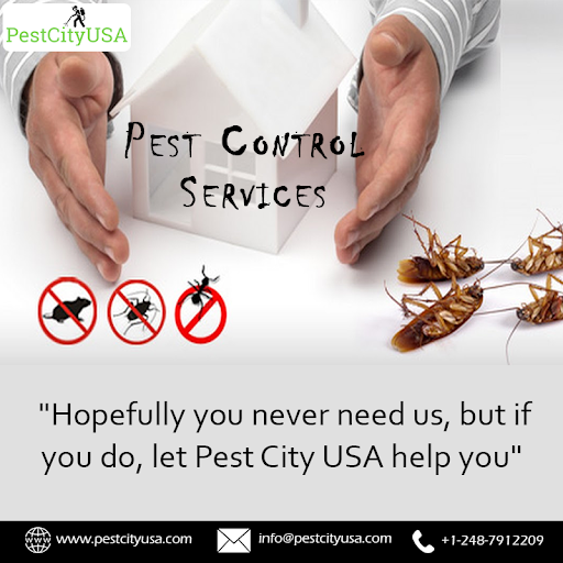Pest City USA | Pest Control & Exterminator Services