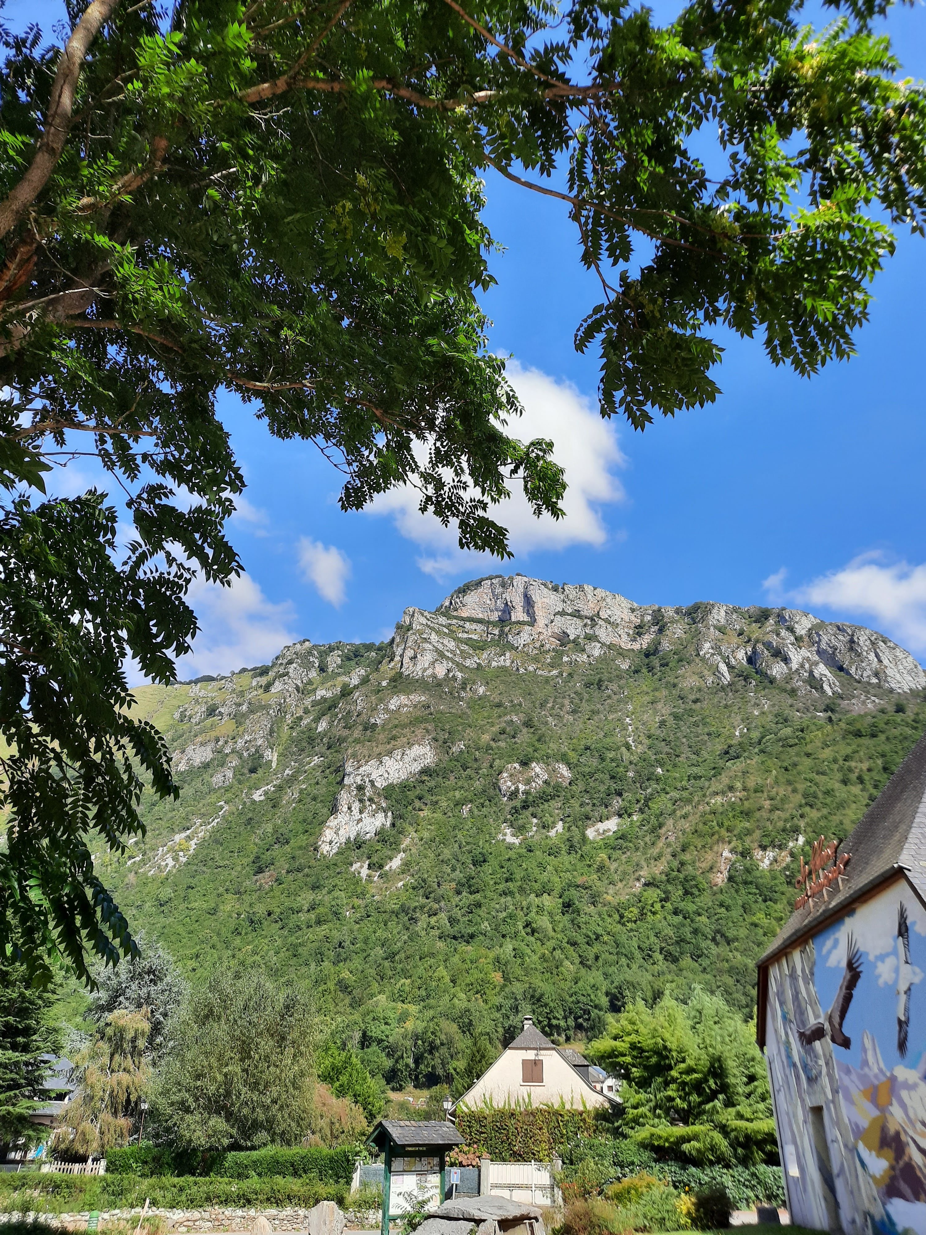 Photo n° 1 de l'avis de Muriel.r fait le 04/09/2020 à 09:19