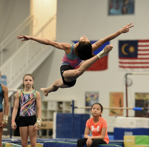 Gymnastics Center «WOGA Gymnastics (Frisco)», reviews and photos, 5936 Nancy Jane Ln, Frisco, TX 75035, USA