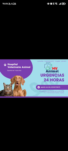 HV ANIMAL Priv. San Vicente 742, Vicente Ferrer, 72350 Heroica Puebla de Zaragoza, Pue., México