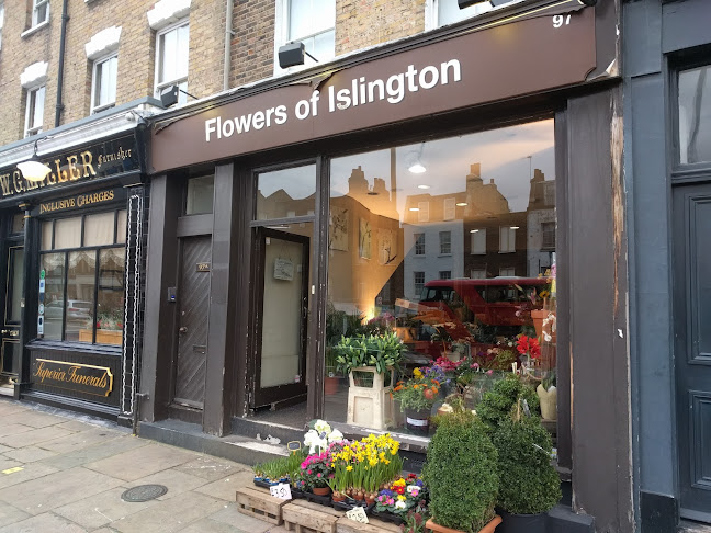 Flowers of Islington