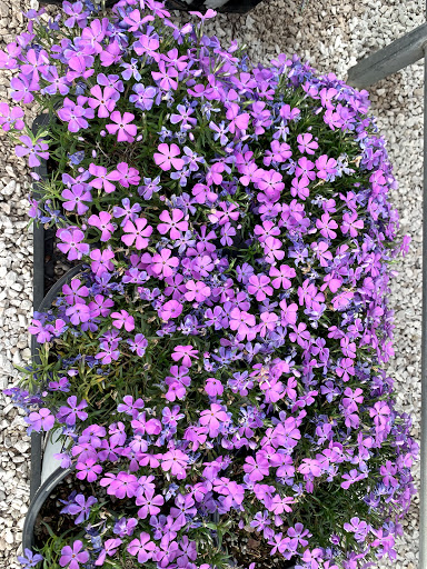 Pet Supply Store «Saybrook Feed & Garden», reviews and photos, 8023 Depot Rd, Ashtabula, OH 44004, USA