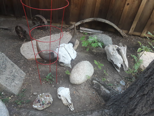 Campground «Winthrop / N. Cascades National Park KOA», reviews and photos