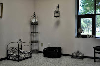 Pink Dog Parlor - Photo 8 - Car repair in Clifton Park, NY, Albany