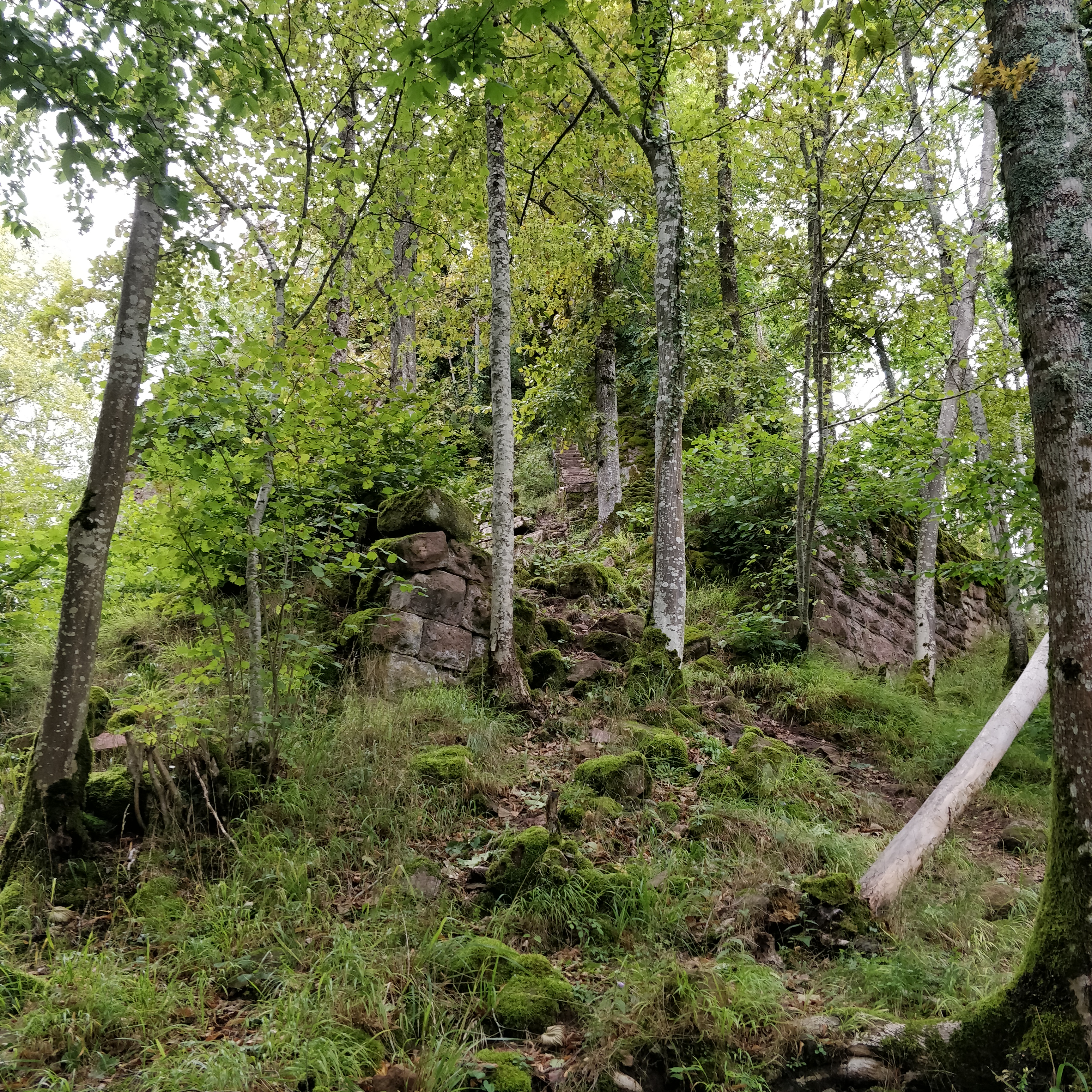 Photo n° 5 de l'avis de Annie.G fait le 25/08/2023 à 06:47