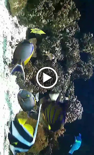 Zoo «Houston Zoo», reviews and photos, 6200 Hermann Park Dr, Houston, TX 77030, USA