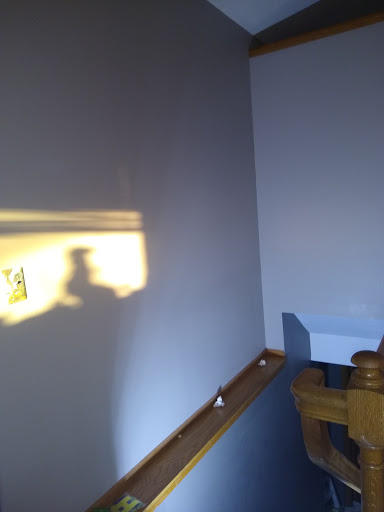 Paint Store «Hallman/Lindsay Paints», reviews and photos, 637 E Washington Ave, Madison, WI 53703, USA