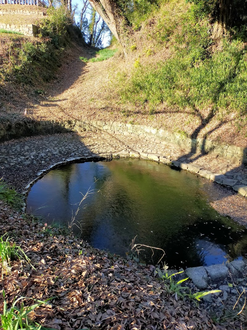 金山城 月ノ池