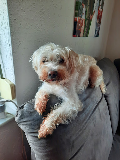 Karola Wach Tierärztin unter Regen, Bayern