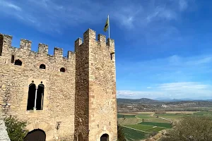 Castell de Montsonís image