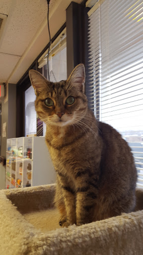 Tobacco Shop «Smokes & Such Gurnee», reviews and photos, 3567 Grand Ave, Gurnee, IL 60031, USA