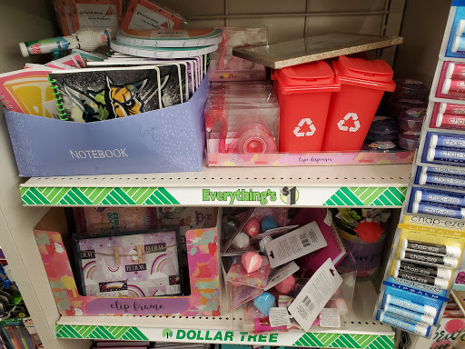 Dollar Store «Dollar Tree», reviews and photos, 528 North Ave, Glendale Heights, IL 60139, USA